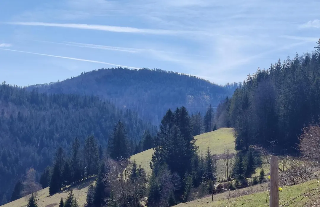 Berggasthaus Präger Böden-1
