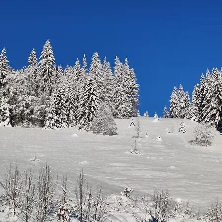 Berggasthaus Präger Böden-3